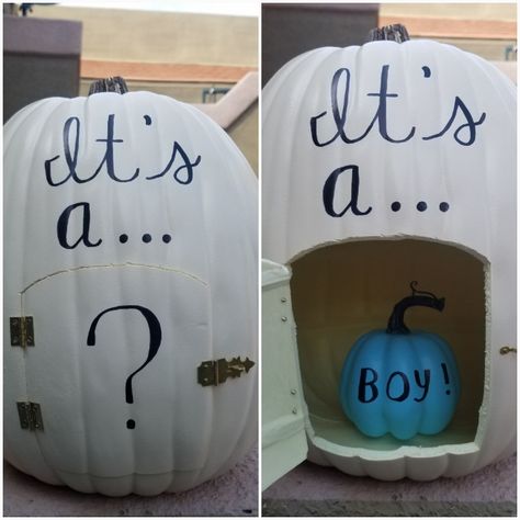 Halloween Gender Reveal Pictures, Pumpkin Smash Gender Reveal, Lil Pumpkin Gender Reveal, Gender Reveal Ideas For Couple Only, Gender Reveal Ideas For Kids, Fall Themed Gender Reveal, Unique Gender Reveal Themes, Halloween Gender Reveal Ideas, Ways To Reveal Baby Gender