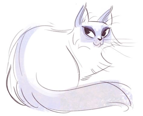 Daily Cat Drawings — 257: Birman Sketch Cat Drawing Tumblr, Daily Cat Drawings, Cat Drawing Cute, Sketch Cat, Cat Doodles, Cats Art Drawing, Birman Cat, Shojo Anime, Cat Drawings