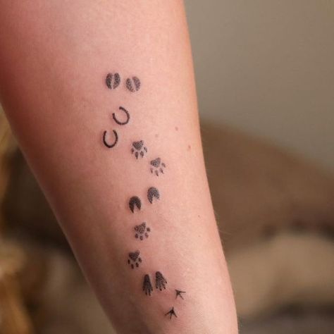 Animal Paws Tattoo, Animal Tracks Tattoo, Animal Rescue Tattoo Ideas, Paw Print Tattoo Location, Bunny Paw Print Tattoo, Paw Print Spine Tattoo, Veterinary Medicine Tattoo Ideas, Animal Paw Tattoo, Real Paw Print Tattoo