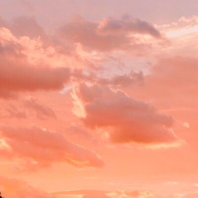 Peach Clouds Aesthetic, Apricot Aesthetic Color, Pink Orange Sky Aesthetic, Peach Sky Aesthetic, Salmon Aesthetic Color, Peach Pastel Aesthetic, Peach Icon Aesthetic, Peach Color Aesthetic, Peach Aesthetic Wallpaper