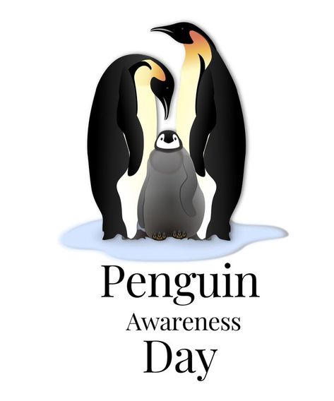 Penguins have wings but cannot fly. But he can swim fluently and lives in the frigid areas of the South Pole. The loveliness of penguins never diminishes.Kids love penguins, I can assure you. Penguin Awareness Day, South Pole, The South, Penguins, Swimming, Disney Characters, Animals, Fictional Characters