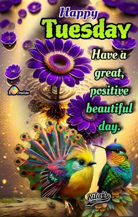 Tuesday Blessings Mornings, Good Morning Tuesday Wishes, Happy Tuesday Pictures, Tuesday Wishes, Happy Tuesday Images, Good Morning Messages Friends, Tuesday Pictures, Tuesday Greetings, Tuesday Images