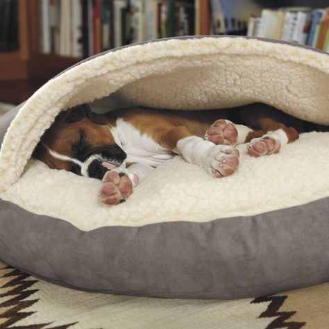 Sleeping Puppy, Dogs Bed, Dog Cave, Cave Bed, Dog Quotes Love, Diy Dog Bed, Covered Dog Bed, Bed Diy, Dog Houses