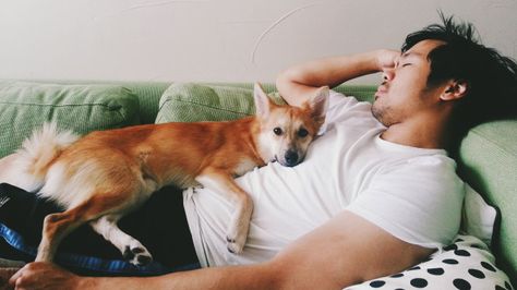 My husband sleeping on the couch was the best thing for our marriage Sleeping On The Couch, Separate Beds, Couple Sleeping, Cuddling On The Couch, Draw The Squad, The Liver, Daily Habits, Shiba Inu, My Husband