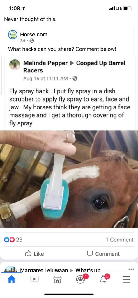 Horse Boarding Ideas, Horse Tips And Tricks, Horse Hacks Diy Ideas, Horse Barn Hacks, Horse Hacks, Horse Tack Diy, Horse Farm Ideas, Diy Horse Barn, Barn Hacks