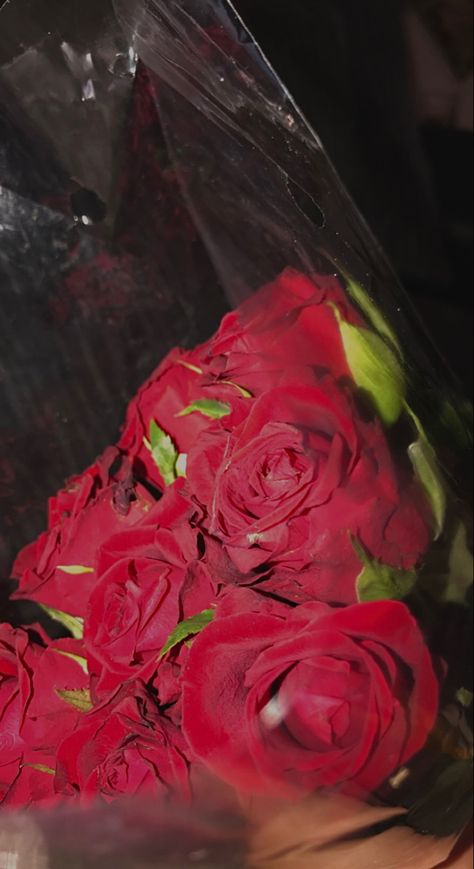 #redroses, #roses, #flowers, #date, #gifts, #red, #aesthetic, #photography, #fashion #boyfriend #love #cute #relationships #giftideas Flower Date Aesthetic, Boyfriend Flowers Aesthetic, Rose Flower Aesthetic Red, Roses From Boyfriend, Red Aesthetic Photography, Fashion Boyfriend, Date Gifts, Hello Wallpaper, Boyfriend Love