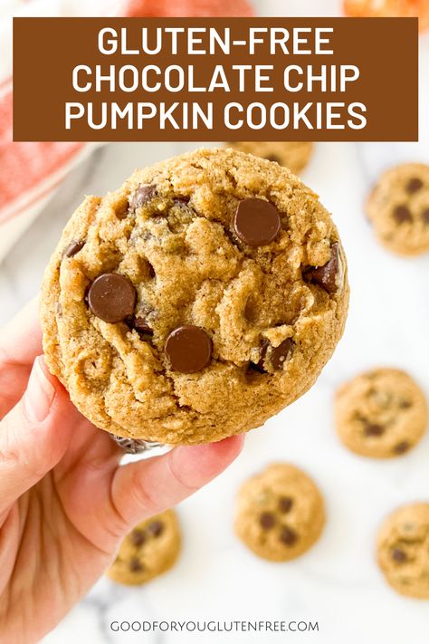 These gluten-free chocolate chip pumpkin cookies are chewy, soft, and sweet. They're loaded with chocolate chips and contain hints of pumpkin pie spice and cinnamon for a truly splendid fall treat. Quick Gluten Free Pumpkin Dessert, Gluten Free Pumpkin Chocolate Cookies, Pumpkin Cookies Gluten Free, Chocolate Chip Pumpkin Cookies, Gluten Free Pumpkin Cookies, Gluten Free Pumpkin Spice, Celiac Recipes, Gf Cookies, Soft Baked Cookies