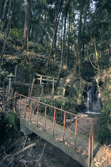 Abandoned Shinto shrine with the waterfall Abandoned Shrine Japan, Abandoned Shrine, Shrines In Japan, Under A Waterfall, Summer Eyes, Shinto Shrine, Environmental Design, Outdoor Settings, Garden Bridge