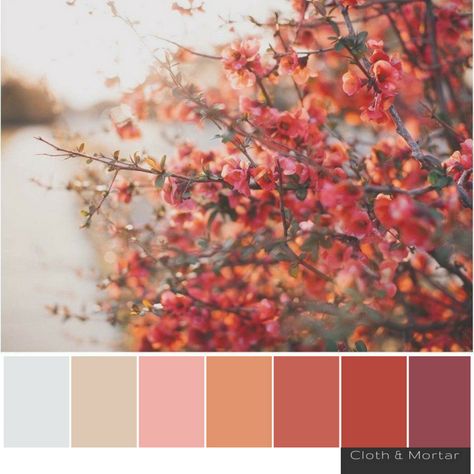 Yarn Color Combinations, Bedroom Colour Palette, Red Colour Palette, Design Seeds, Colour Board, Floral Color, World Of Color, Color Textures, Colour Schemes