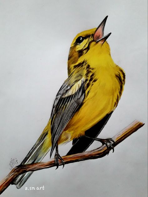 Bird Sketch Realistic, Love Birds Painting, Bird Painting Acrylic, Bird Sketch, Colored Pencil Artwork, Colour Pencil, Watercolor Flower Art, Art Painting Gallery, Bird Artwork