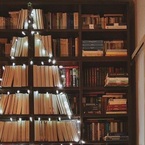 𝙱𝚛𝚎𝚊𝚝𝚑𝚒𝚗𝚐 𝙿𝚊𝚐𝚎𝚜 on Instagram: "Throwback to my bookish Christmas Tree in Greece last year. . This year, my parents are renovating some rooms in the house including the library, so I am going back to help them organise all the books. Not an easy job, but I will gladly do it. . I hope to create something bookish this year. We shall see. . Do you have any travel plans for the holidays? . Happy Reading! Matina x ____________________ Το Χριστουγεννιάτικο βιβλιοδεντρο της περσινής χρονιάς. . Καλό Διάβασμα! Ματινα x • • #wanderlust #cornersofmyworld #littlestoriesofmylife #wander #storytelling #myworld #bookstagram #books #booksofinstagram #booklover #bookworm #bookstagrammer #mybookfeatures #wanderlustbookclub #dustyatticrarebooks #prettybookplaces #bookstagramgold #shelfie #mybook Christmas Book Shelf Decorations, Library Christmas Decor, Library Christmas Tree, Christmas Library, Library Christmas, Bookish Christmas, Book Christmas Tree, Book Tree, Easy Jobs