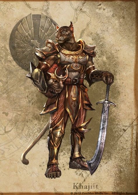 Hawk Feather, Elder Scrolls Art, Plate Armor, Elder Scrolls Online, Dungeons And Dragons Characters, Dnd Art, The Elder Scrolls, Khalid, Fantasy Warrior