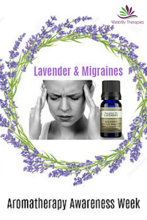 Lavender and migraines. Natural remedies for migraine attacks. Remedies For Migraines, Oils For Migraines, Lavendar Oil, Essential Oils For Migraines, Oil For Headache, Headache Relief Instant, Natural Remedies For Migraines, Migraine Pain, Migraine Attack