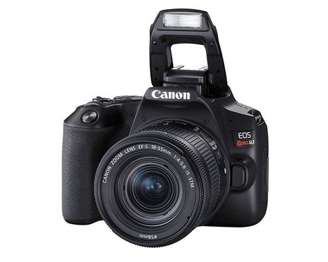 Canon Eos 250d, Best Dslr, Camera Dslr, Canon Dslr, Camera Digital, Nikon Dslr, Camera Nikon, Canon Camera, Canon Ef