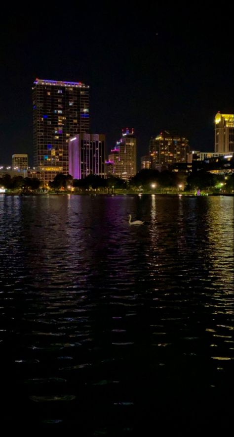 Downtown Tampa Florida Aesthetic, Downtown Orlando Aesthetic, Orlando At Night, Orlando Florida Aesthetic, Florida At Night, Orlando Florida City, Orlando Aesthetic, Lake Eola Orlando, Florida Wallpaper