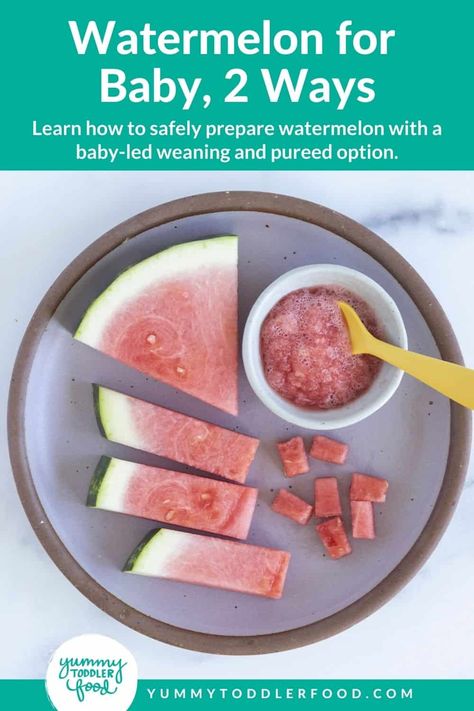 How To Store Watermelon, 8 Month Old Baby Food, Watermelon Snack, Watermelon Baby, Frozen Watermelon, Creamy Smoothies, Cut Watermelon, Baby Puree, Iron Rich Foods