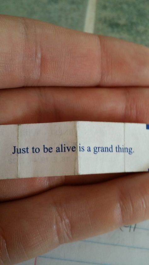 It's a great day to be alive! Quotes About Goodness, What A Time To Be Alive, It's A Beautiful Day To Save Lives, Feeling Alive Quotes, Being Alive Quotes, Alive Aesthetic, Im Alive, Alive Quotes, Animal Cracker