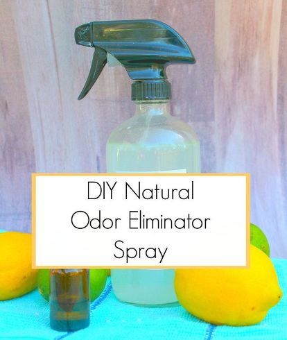 Diy Kosmetik, Health Signs, Natural Healing Remedies, Natural Therapy, Cleaning Recipes, Odor Eliminator, Pet Odors, Green Cleaning, Natural Home Remedies