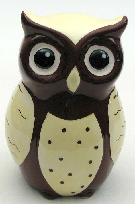 Give a hoot and save in this brown and tan bank from Niecey's Kitchen! - FREE SHIPPING - One Ceramic Owl Bank - Measures 6 1/2" X 4 1/4" X 3 3/4" - Made of ceramic - 049-22134 Acrylic Vase, Owl Nursery, Owl Baby Shower, Owl Ornament, Ceramic Owl, American Indian Art, Baby Owls, Cat Clothes, Native American Indians