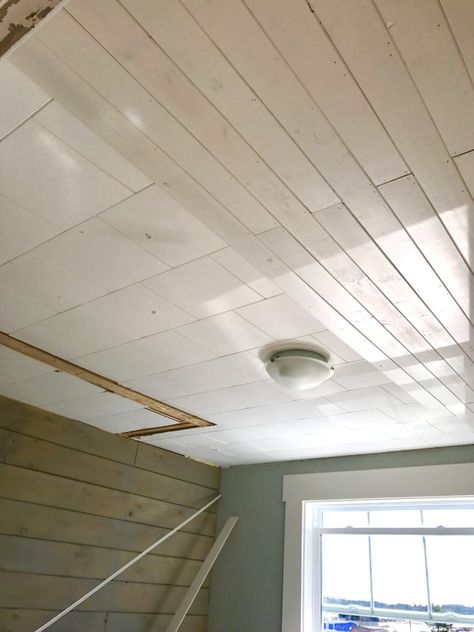 Hide Tile Ceiling, How To Update Ceiling Tiles, Covering Tile Ceiling, Replacing Tile Ceiling, Ceiling Tile Alternatives, Update Ceiling Tiles, Ceiling Tile Replacement Ideas, Covering Ceiling Tiles, How To Cover Ceiling Tiles