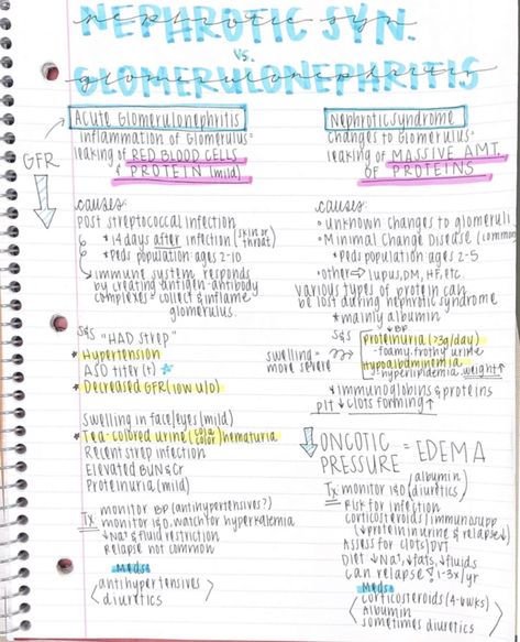 Nephrotic Syndrome Vs Glomerulonephritis, Nephrotic Syndrome Nursing, Nephritis Nursing, Nephrotic Vs Nephritic Syndrome, Urinary Disorders Nursing, Kidney Nursing Notes, Renal Nursing Notes, Pediatric Nursing Notes, Pediatric Nursing Study Notes