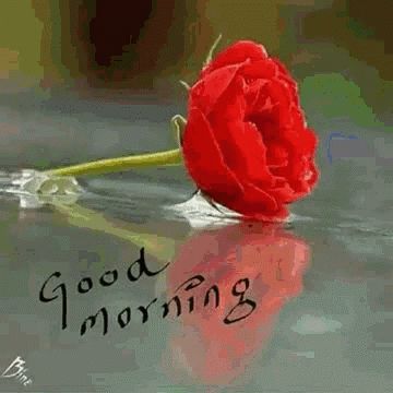 Saturday Good Morning GIF - Saturday GoodMorning Flowers - Discover & Share GIFs Good Morning Flowers Awesome, Good Morning Gif Funny, Saturday Good Morning, Weekend Gif, Good Morning Gift, Romantic Good Morning Messages, Good Morning Wishes Gif, Good Morning Love Gif, Good Night Wallpaper