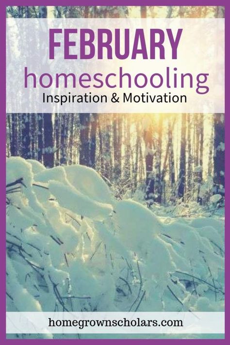 Homeschooling Organization, Homeschooling Activities, Homeschool Encouragement, Throw In The Towel, Feeling Frustrated, Homeschool Organization, Frame Of Mind, Seasons Of Life, School Lessons