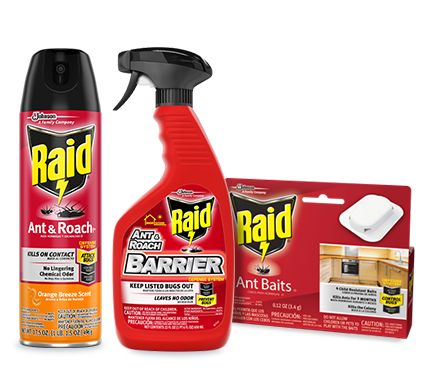 Raid® Products | Raid® brand | SC Johnson Kill Bugs, Sc Johnson, The Bug, Competitive Analysis, Spray Bottle, Don't Let, Cleaning Supplies, Bugs, Spray