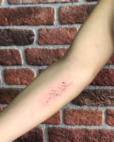 Red Olive Branch Tattoo, Forearm Olive Branch Tattoo, Delicate Olive Branch Tattoo Simple, Olive Branch Tattoo Placement, Roman Numeral Tattoo Arm, Greece Tattoo, Hairdresser Tattoos, Olive Tattoo, Delicate Tattoos For Women