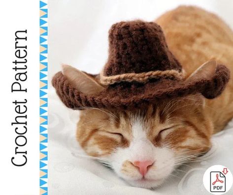 This fun Crochet Cowboy Hat Pattern can be crocheted with Chunky Weight Yarn [5] and a 4.5 mm (G) crochet hook. This pattern is recommended for advanced beginners or intermediate crocheters. Cat Cowboy Hat, Pumpkin Hat Pattern, Crochet Cowboy Hats, Cowboy Hat Pattern, Cat Cowboy, Crochet Pumpkin Hat, Cat Hat Pattern, Kat Haken, Cowboy Hat Design