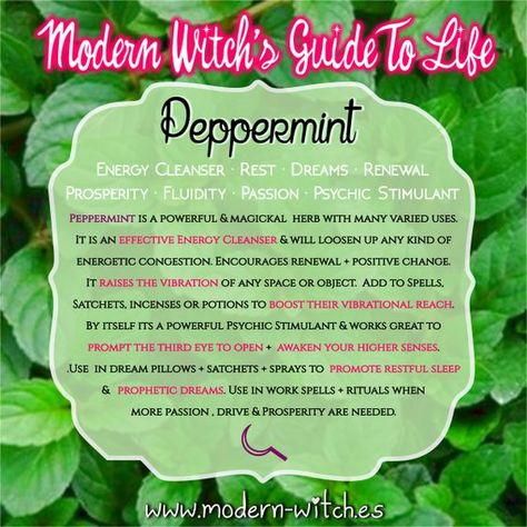 Herbs Magic, Wicca Herbs, Magick Herbs, Types Of Witchcraft, Hoodoo Conjure, Magickal Herbs, Witch Herbs, Green Witchcraft, Stone Properties