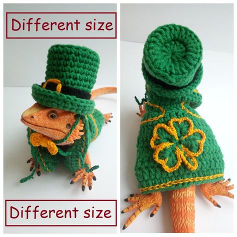 Crochet Dragon Costume, Bearded Dragon Costumes, Bearded Lizard, Dragon Clothes, Bearded Dragon Clothes, Dragon Fashion, Dragon Clothing, Leprechaun Costume, Bearded Dragon Cute