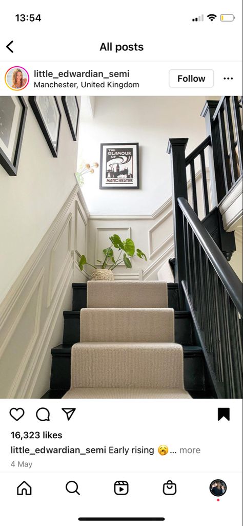 Dado Rail Hallway, Staircase Carpet, Staircase Carpet Runner, Stairs And Hallway Ideas, Black Stair Railing, Black Staircase, Stair Paneling, Entrance Hall Decor, Victorian Hallway