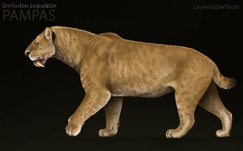 ArtStation - Smilodon populator, Alor Leonel Smilodon Populator, Sabretooth Tiger, Prehistoric Mammals, Sabertooth Tiger, Wolf Designs, Cool Man, Dire Wolf, Ancient Animals, Prehistoric Art