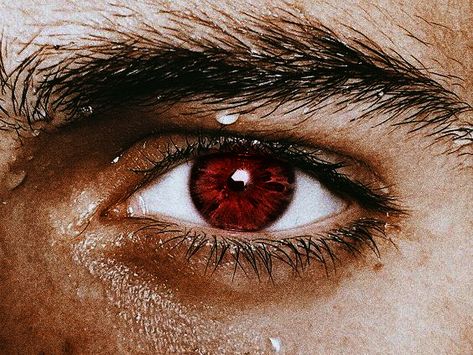 red eyes Leo Valdez, Eye Photography, Aesthetic Eyes, Model Aesthetic, Aesthetic People, Eye Makeup Tips, Gorgeous Eyes, Pet Hacks, Fantasy Aesthetic