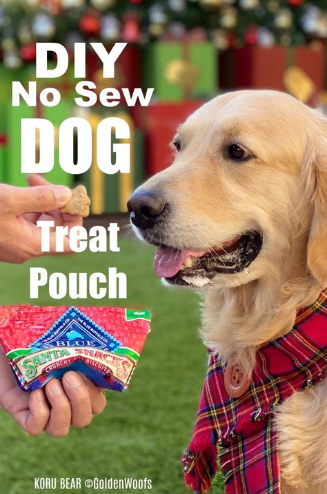 DIY No Sew Dog Treat Pouch Holiday Dog Treats, Santa Snacks, Dog Treat Bag, Service Dog Training, Dog Diy, Dog Treat Pouch, Diy Sewing Tutorials, Dog Training Treats, Pouch Diy