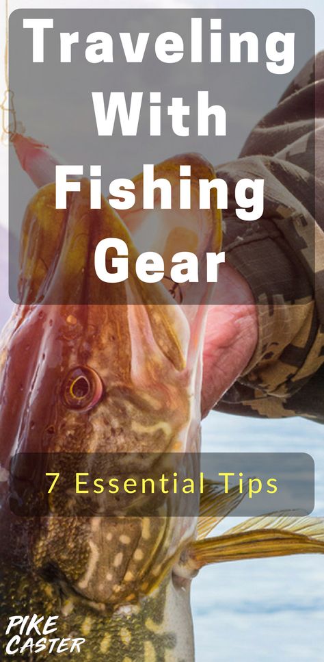 Fishing Basics, Fishing Rod Storage, Fishing For Beginners, Fly Fishing Tips, Fly Fishing Gear, Fishing Techniques, Fishing Supplies, Fishing Rod Holder, Fishing Guide