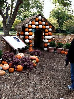 Dallas Arboretum Pumpkin Patch Business, Pumpkin Patch Corn Maze, Pumpkin Patch Farm, Fall Scenes, Coin Photo, Pumpkin Stands, Patch Ideas, Pumpkin Display, Pumpkin House