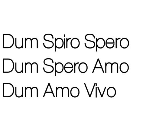 Dum Spiro Spero. Dum Spero Amo. Dum Amo Vivo Tattoo: -Latin for “While I breath, I hope. While I hope, I love. While I love, I live.” Dum Spiro Spero Quote, Dum Spiro Spero Tattoo, Tattoo Quotes Latin, Quotes Latin, While I Breathe I Hope, Dum Spiro Spero, Latin Tattoo, Latin Quotes, Romantic Texts