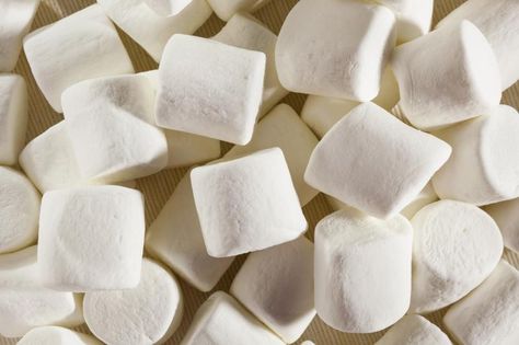 How to Make a Marshmallow Costume Marshmallow Halloween Costume, Halloween Food Dishes, Marshmallow Costume, Baseball Cake Pops, Cake Pop Recipe Easy, Vegan Facts, How To Make Marshmallows, Baseball Cake, Game Day Appetizers