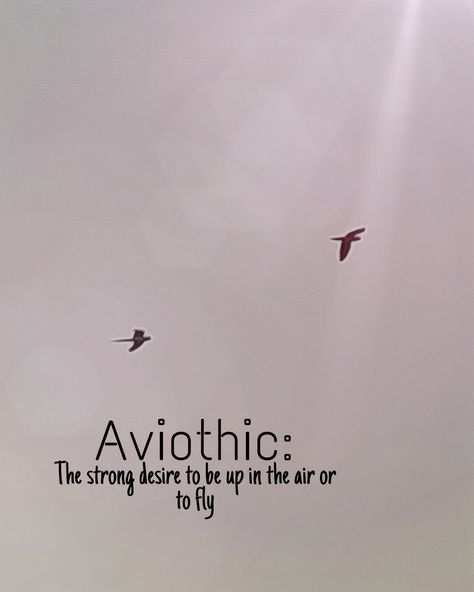 #meaning#aviothic#quotes#birds#fly#sky#wallpaper#aesthetic#ideas Aviothic Wallpaper, Aviothic Quotes, Aviothic Word, Flying Bird Quotes, Flying Birds Captions, Birds Flying In The Sky Quotes, Birds Instagram Story Caption, Birds Quotes Flying, Bird Quotes Inspirational Short