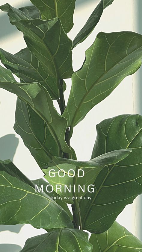 Good Morning With Nature, Motivation Instagram Story, Minimalist Motivation, Nature Minimalist, Good Morning Posters, Today Is A Great Day, Create Your Own Sunshine, Good Morning Today, Good Morning Saturday