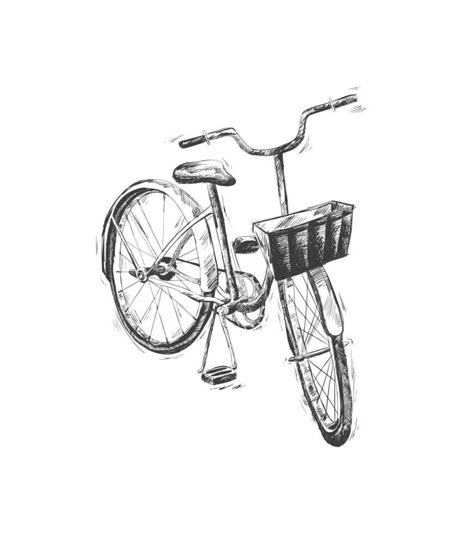 Vector hand drawn illustration of city bicycle in ink hand drawn style. Bike with step-through frame, pannier rack and front wicker basket. Bike Front View, Bicycle Sketch, Bicycle Drawing, City Bicycle, Bicycle Illustration, Bicycle Tattoo, Bike With Basket, Bike Tattoos, Basket Drawing