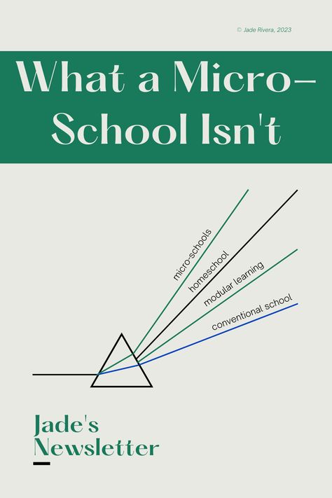 I’m going to stake a claim and insist that, at their core, micro-schools are about caring for one another, particularly the most vulnerable. While they are created with the needs of a specific population in mind, micro-schools are not in the name of propagating anti-social and dysfunctional values. Rather, the purpose is to widen the spectrum of what is available in educational design so that as many children can access appropriate and loving learning environments as possible. Micro School Design, Micro School Classroom, Microschool Classroom, Microschool Ideas, Micro School, Micro Learning, Educational Design, Health Class, Phonics Games