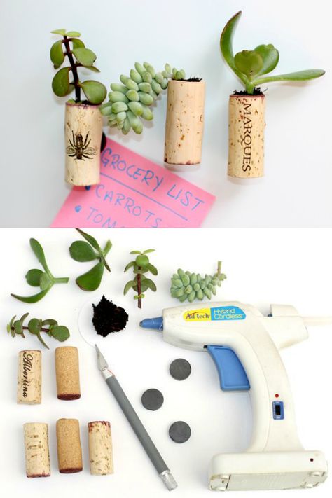 Plant Magnets Diy, Magnet Planter, Wine Cork Succulent Magnets, Plant Magnets, Succulent Magnets, Wine Cork Coasters, Diy String Lights, Wine Cork Diy Crafts, Wine Cork Diy