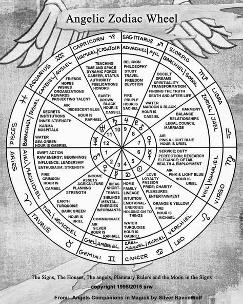 Astrology Reading Tropical Astrology, Birth Signs, Zodiac Wheel, Moon In Aquarius, Astrology Tarot, Astrology Planets, Birth Chart Astrology, Numerology Chart, Learn Astrology