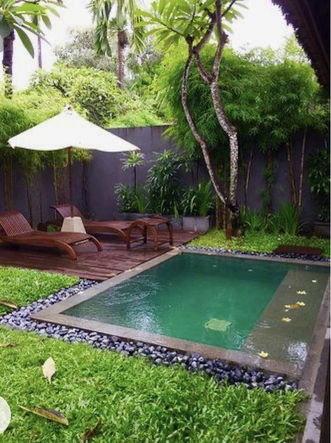 Ideas De Piscina, Small Inground Pool, Backyard Pool Design, Small Swimming Pools, Small Pool Design, Deck Designs, Small Pools, Ideas Backyard, Backyard Pool Designs