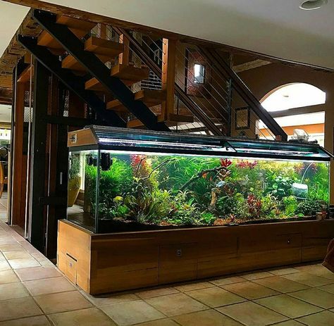 Planted Aquarium Ideas, Best Aquarium Filter, Fish Tank Themes, Big Aquarium, Wall Aquarium, Fish Pond Gardens, Amazing Aquariums, Turtle Habitat, Fish Tank Design