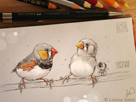 # 50 - Zebra Finch - by https://www.deviantart.com/loisa on @DeviantArt Zebra Finch Drawing, Zebra Finch Tattoo, Finch Tattoo, Zebra Finches, Rustic Fox, Zebra Finch, Finches Bird, Art Tutorials Watercolor, Acoustic Panel