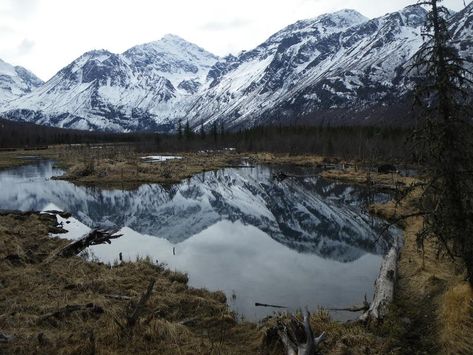 AL7JK Eagle River, Alaska Eagle River Alaska, Mount Everest, Alaska, Natural Landmarks, Travel